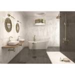 Слика на Argenta Crystal Dark 25x50