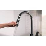 Слика на Славинa за Садопер Focus Chrome With PULL-OUT Spray 31815000