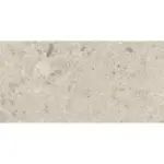 Terrazzo Beige 60x120 mat retro pločice